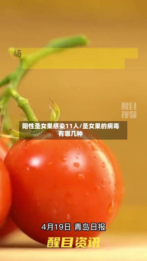 阳性圣女果感染11人/圣女果的病毒有哪几种