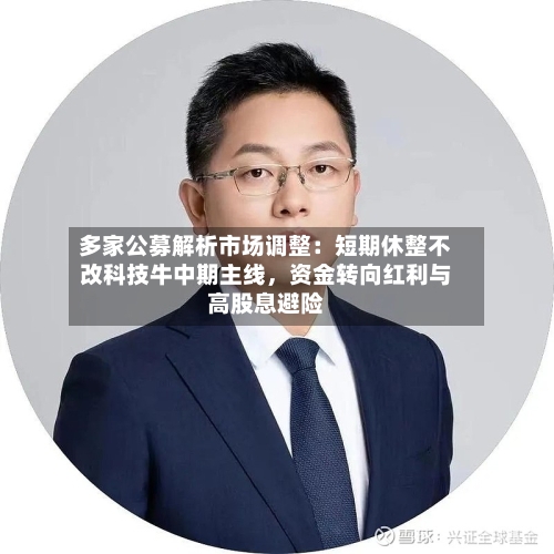 多家公募解析市场调整：短期休整不改科技牛中期主线，资金转向红利与高股息避险-第2张图片