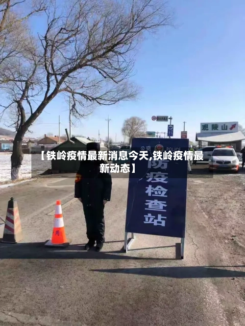 【铁岭疫情最新消息今天,铁岭疫情最新动态】-第3张图片