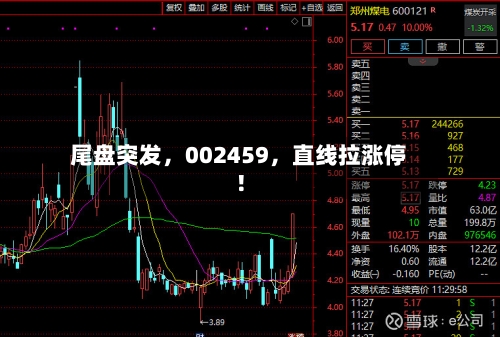 尾盘突发	，002459，直线拉涨停！-第2张图片