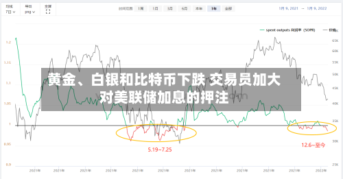 黄金	、白银和比特币下跌 交易员加大对美联储加息的押注-第2张图片