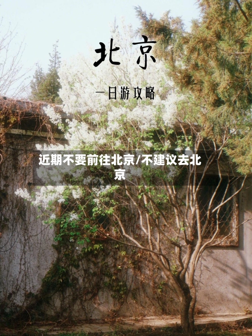 近期不要前往北京/不建议去北京