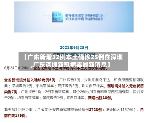 【广东新增32例本土确诊25例在深圳,广东深圳新冠病毒最新消息】-第3张图片