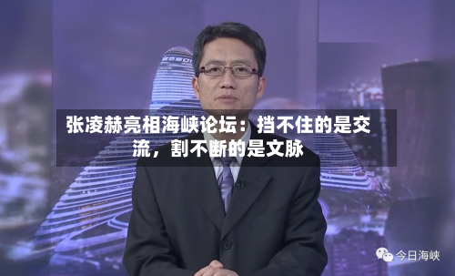 张凌赫亮相海峡论坛：挡不住的是交流，割不断的是文脉-第2张图片