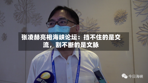 张凌赫亮相海峡论坛：挡不住的是交流，割不断的是文脉-第3张图片