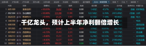 千亿龙头，预计上半年净利翻倍增长-第2张图片