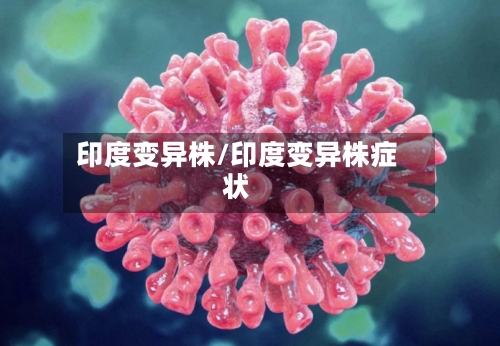 印度变异株/印度变异株症状