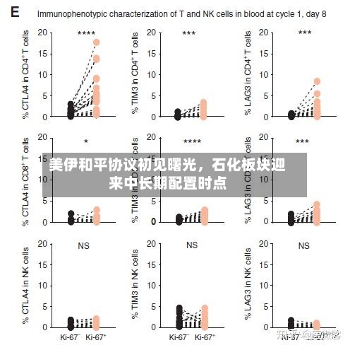 美伊和平协议初见曙光，石化板块迎来中长期配置时点-第3张图片