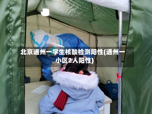 北京通州一学生核酸检测阳性(通州一小区2人阳性)-第2张图片