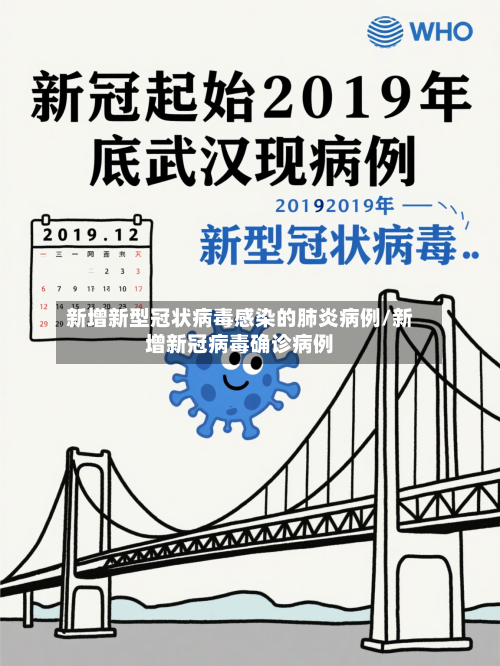 新增新型冠状病毒感染的肺炎病例/新增新冠病毒确诊病例-第2张图片