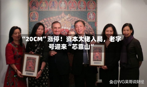 “20CM”涨停！资本大佬入局，老字号迎来“芯靠山”-第3张图片