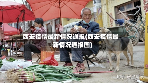 西安疫情最新情况通报(西安疫情最新情况通报图)-第3张图片