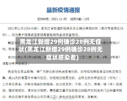 黑龙江新增29例确诊28例无症状(黑龙江新增29例确诊28例无症状感染者)-第3张图片