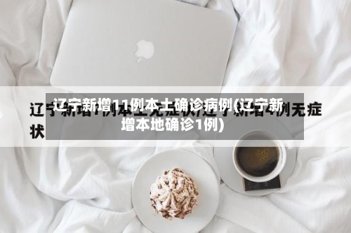 辽宁新增11例本土确诊病例(辽宁新增本地确诊1例)-第2张图片