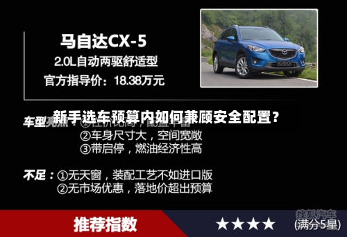 新手选车预算内如何兼顾安全配置?-第3张图片