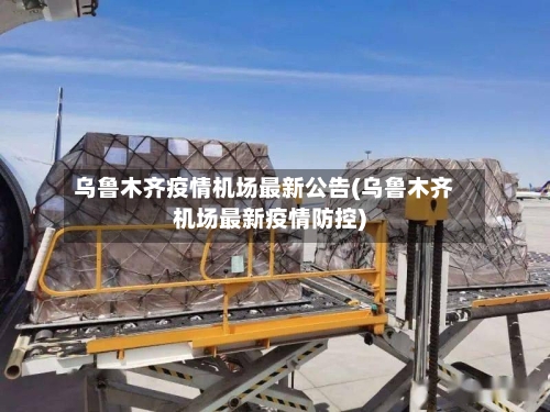 乌鲁木齐疫情机场最新公告(乌鲁木齐机场最新疫情防控)-第2张图片