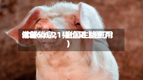 2026.6.21-全国生猪费用借鉴（好消息，猪价又上涨了！）-第2张图片