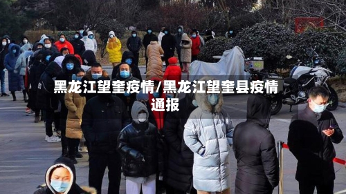 黑龙江望奎疫情/黑龙江望奎县疫情通报-第2张图片
