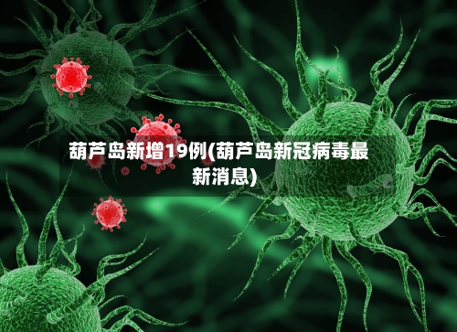 葫芦岛新增19例(葫芦岛新冠病毒最新消息)