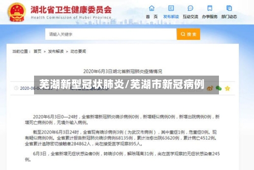 芜湖新型冠状肺炎/芜湖市新冠病例