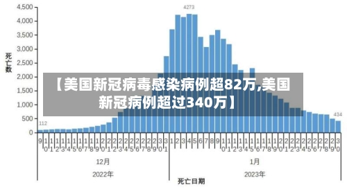 【美国新冠病毒感染病例超82万,美国新冠病例超过340万】-第2张图片