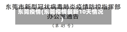 东莞疫情(东莞疫情最新10天情况)-第2张图片